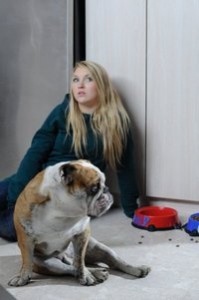 Dog Sitter